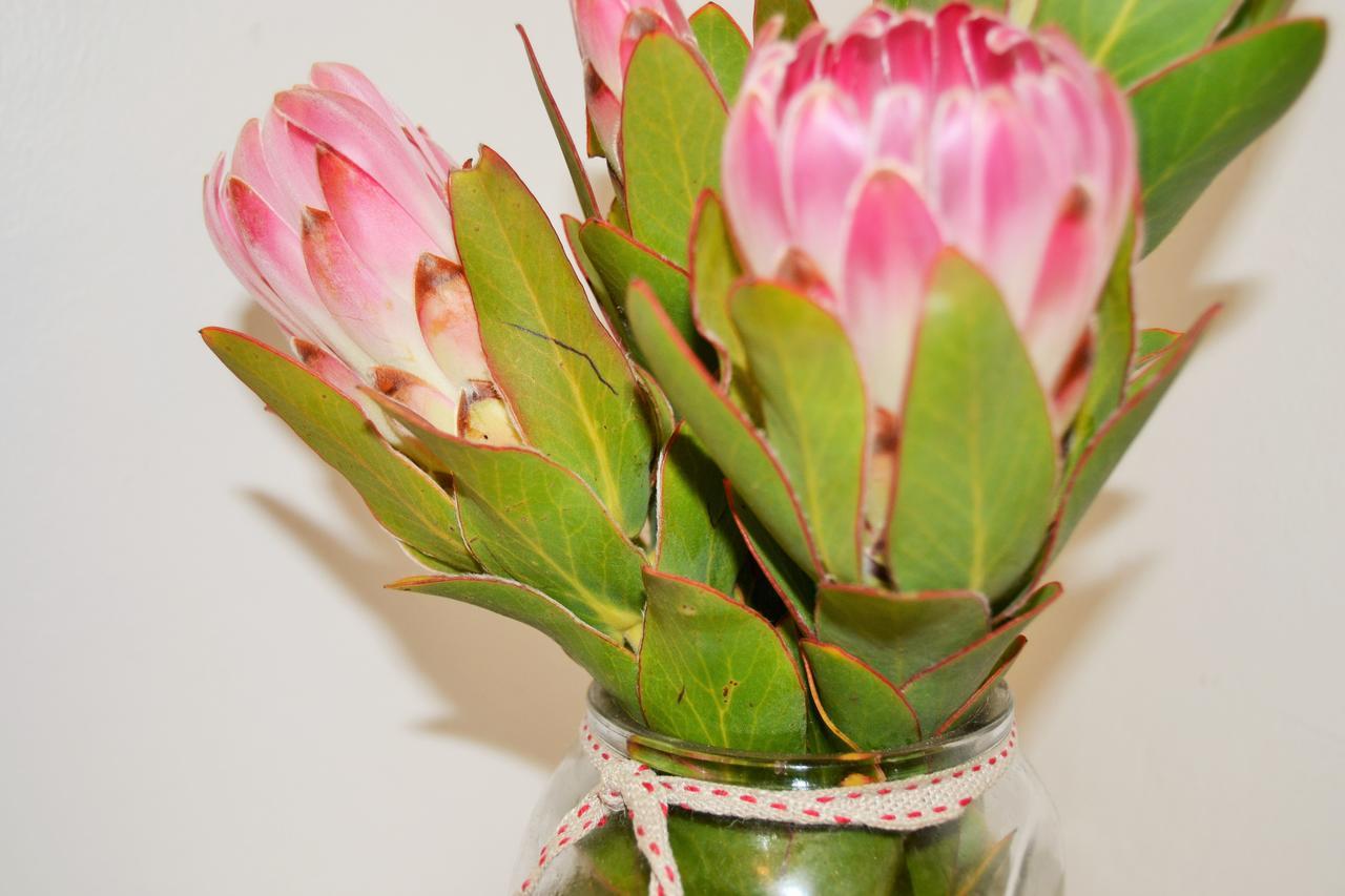 Agulhas Heights Self-Catering Cottages Екстер'єр фото